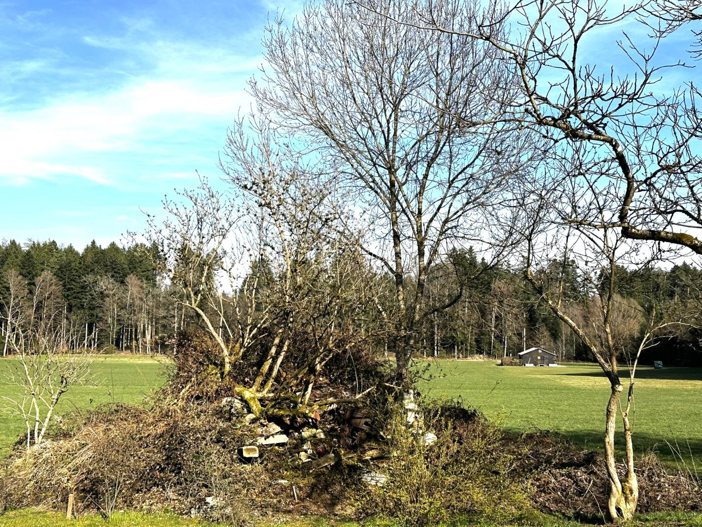 Garten Fam Messerli
