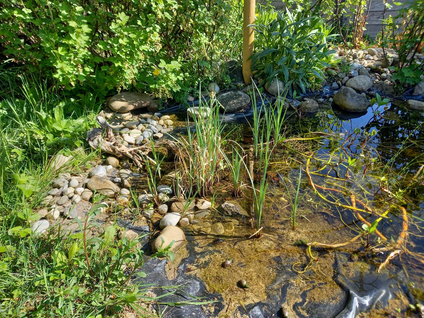 Garten Fam Messerli