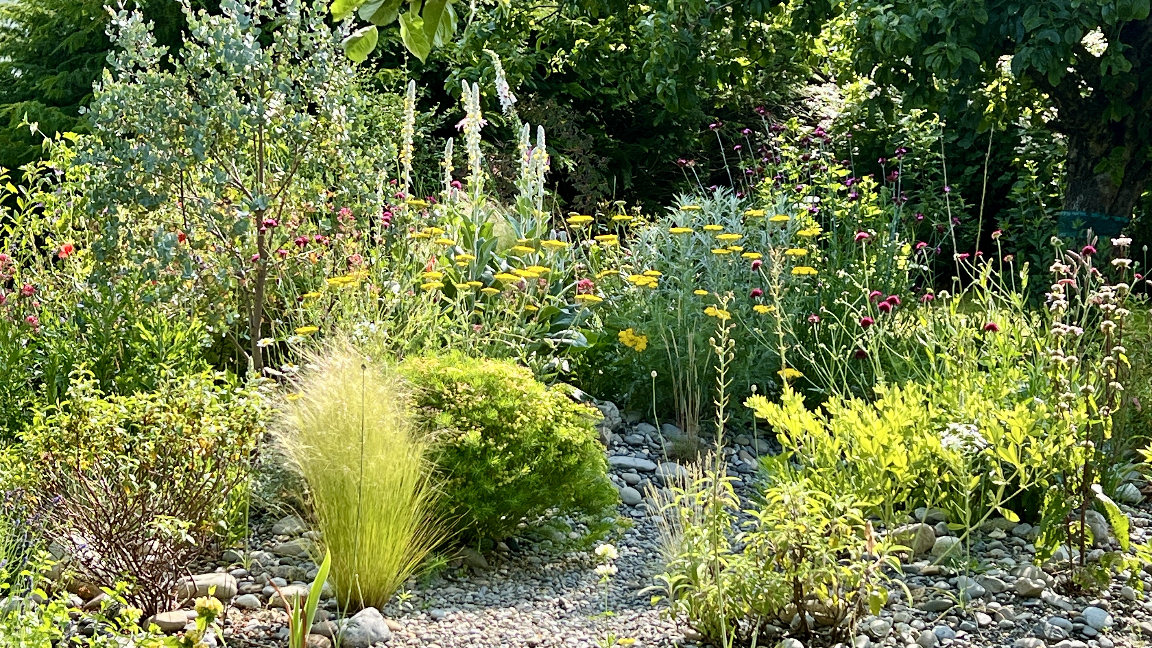 Garten Fam Messerli