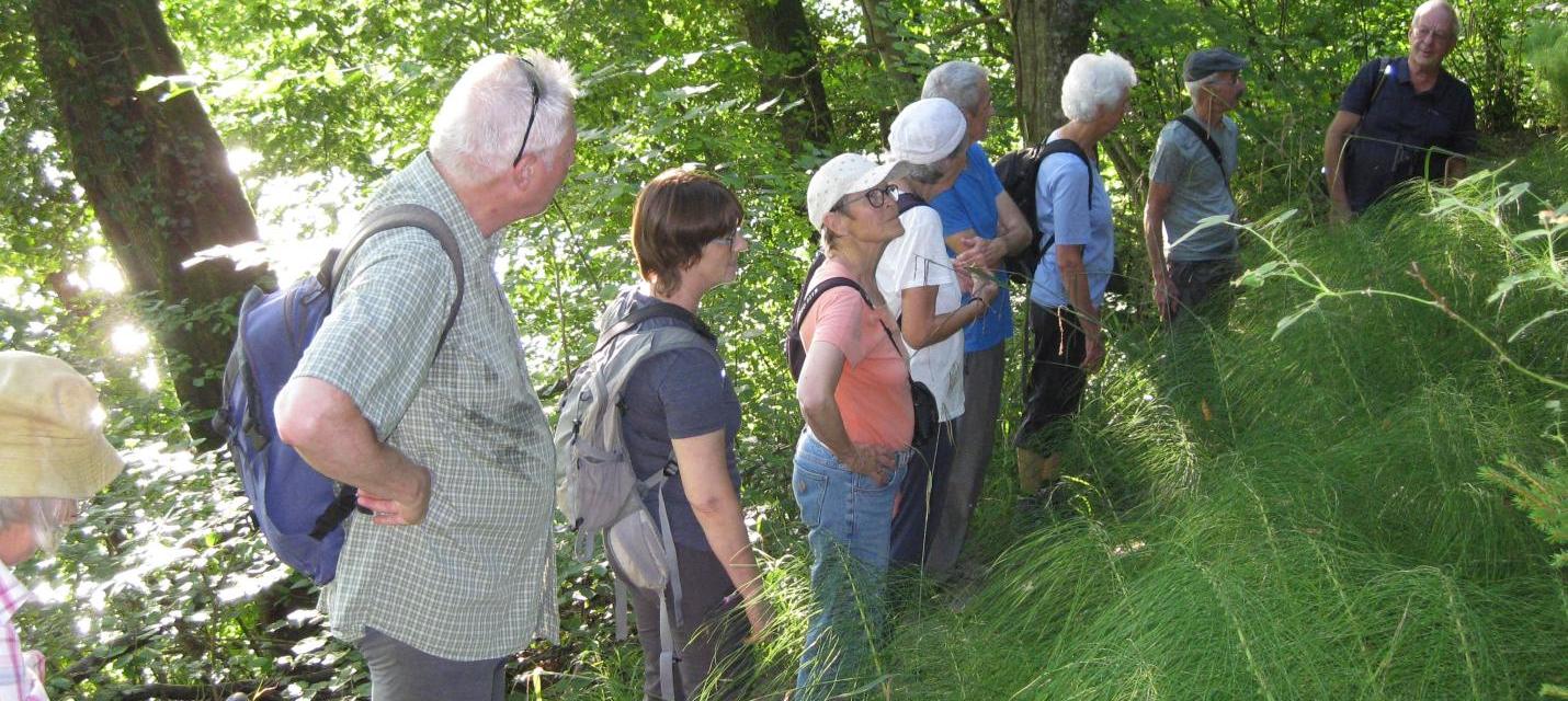 Naturwanderung Nr. 4