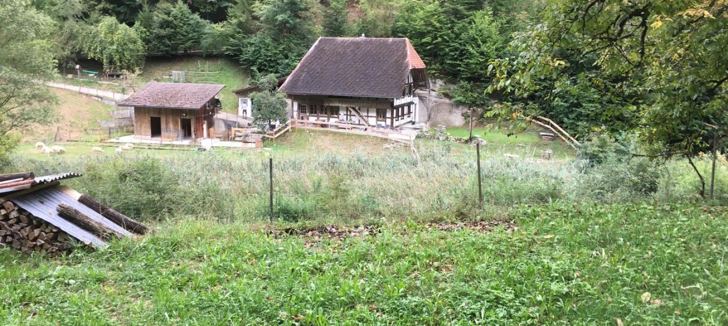 Leubachbucht
