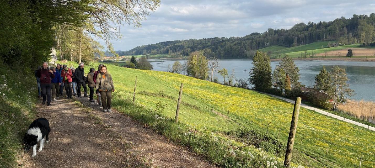 Rundwanderung Hofenwald
