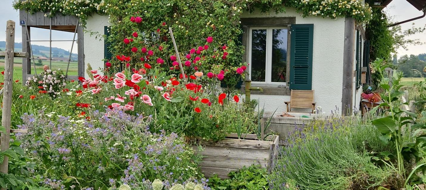 offener Garten 25